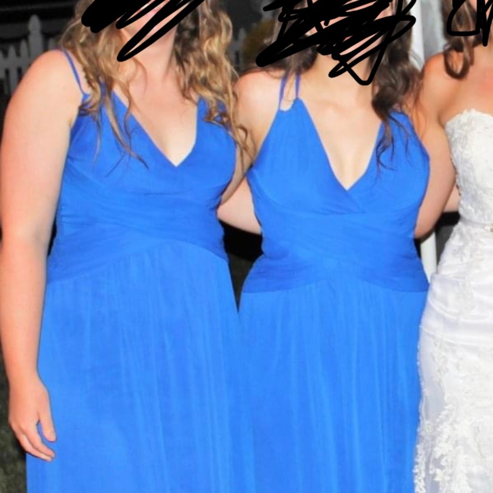 Royal Blue David’s Bridal Dress